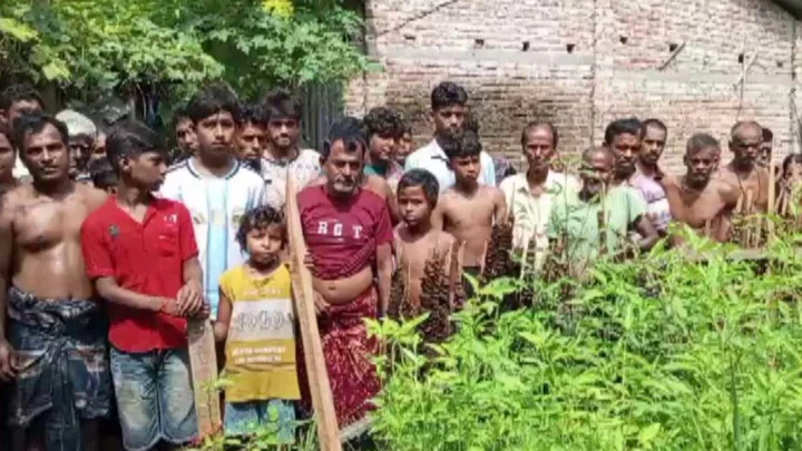 নিখোঁজের ৩ দিন পর পাটক্ষেতে মিলল বৃদ্ধার মরদেহ