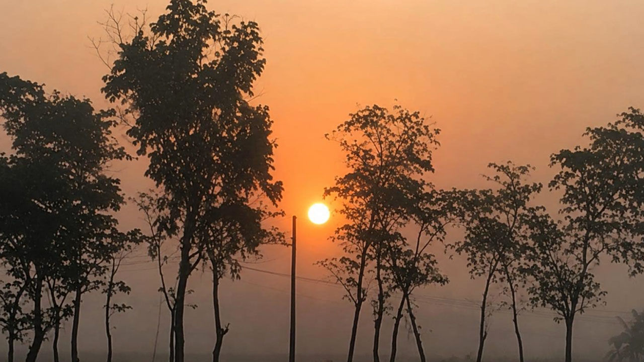প্রতিনিধির পাঠানো ছবি/ বৃহস্পতিবার (১৫ অক্টোবর) সকালে ধারণকৃত।