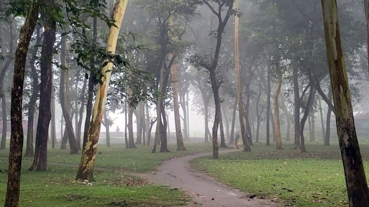 প্রতিনিধির পাঠানো ছবি/ বৃহস্পতিবার (১৫ অক্টোবর) সকালে ধারণকৃত।