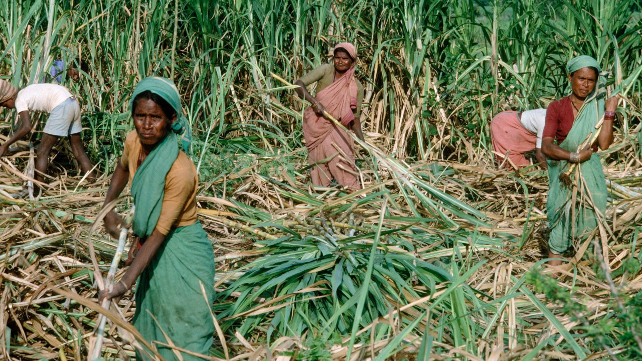 woman-india