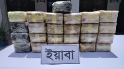 সীমান্তে বিজিবির অভিযানে ৬ লাখ ইয়াবা ও বিদেশি পিস্তলসহ আটক ২
