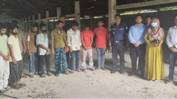 ঘোড়া জবাই করে মাংস সরবরাহের প্রস্তুতি, ৯ জনের কারাদণ্ড