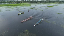 টিনের ডিঙিতে নৌকাবাইচ, ৩৬ বছরের ঐতিহ্যে ফিরল কুষ্টিয়া