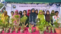 প্লাস্টিকের বোতল দিলেই মিলছে গাছের চারা