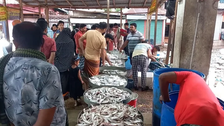মাদারীপুরে দেশি মাছের আকাল, লাফিয়ে বাড়ছে দাম
