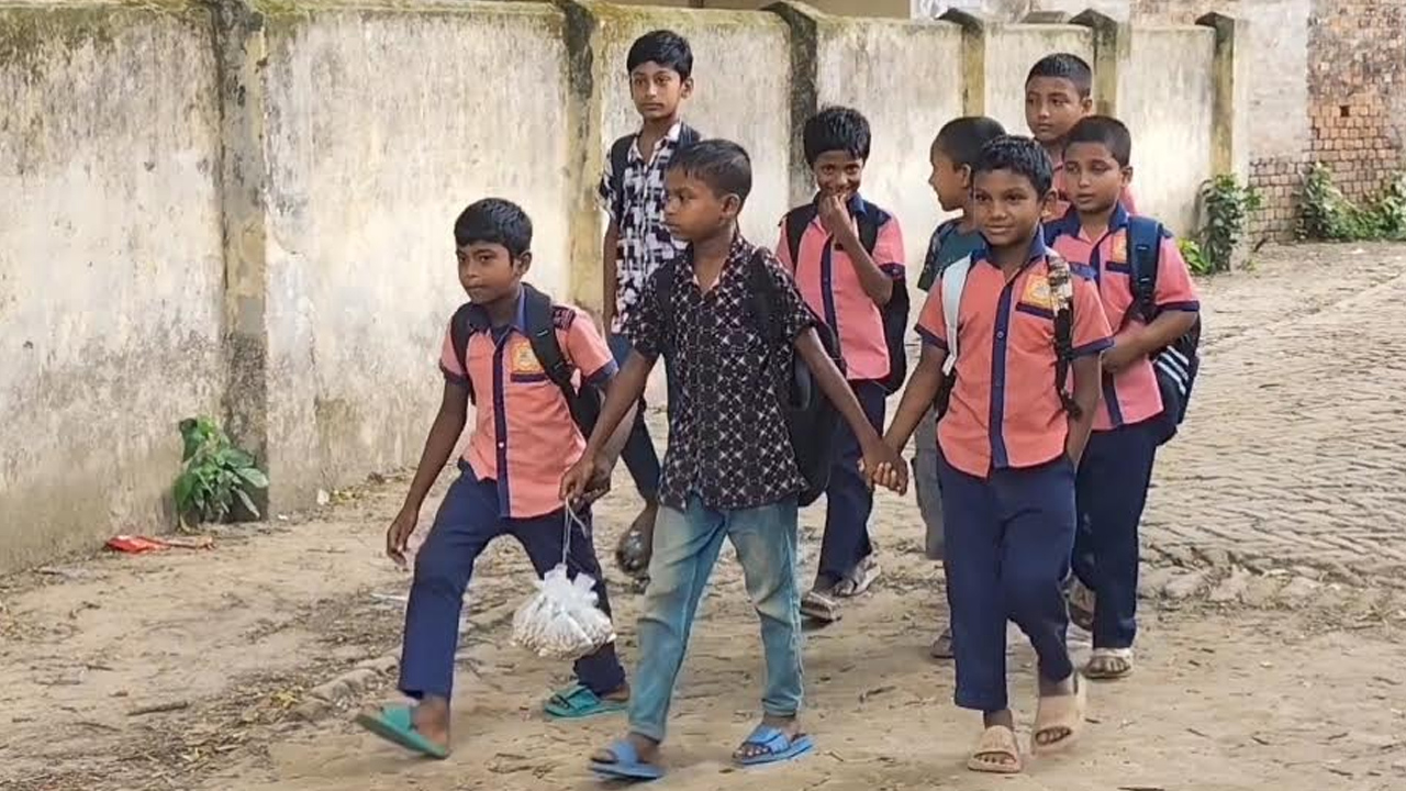ক্লাস শেষে বাদাম বেচে সংসার চালায় শিশু মাহিম