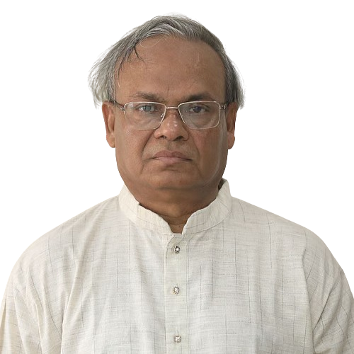 রুহুল কবীর রিজভী