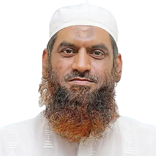 আল্লামা মামুনুল হক